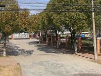 上海崇明島合興中心小學