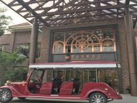 上海崇明島建設(shè)鎮(zhèn)綠島四季度假村森林漫心度假酒店